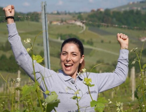 Adopting a row of vines as an act of resilience: protecting viticulture in the Langhe from climate change