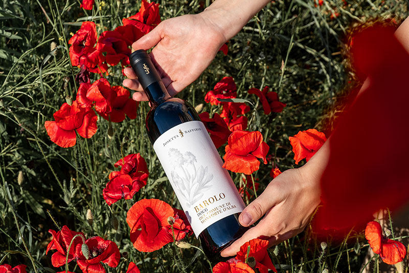 barolo-vino-regalo-stupire