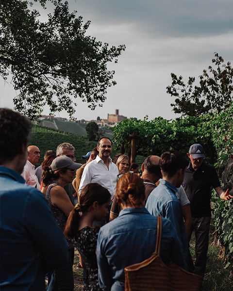 agronomo-lezione-vite-langhe-vigne