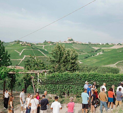 esperienza-langhe-cantina
