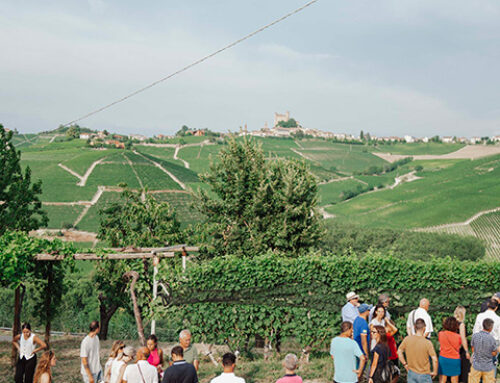 Langhe in summer. Wine and humanity.